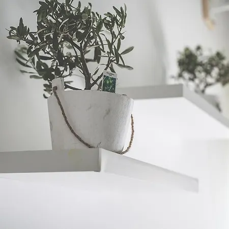 Bio Hotel Palermo 3*